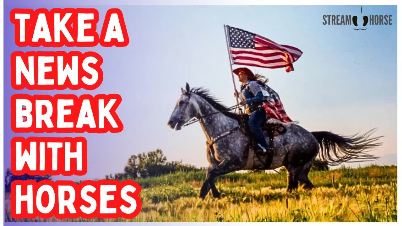 The News Can Wait! 🛑🐎 10 Minutes of Horses That Instantly Calm You