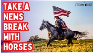 The News Can Wait! 🛑🐎 10 Minutes of Horses That Instantly Calm You