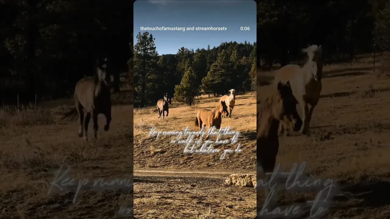 the greatest victory in life is simply to not give up 🐎