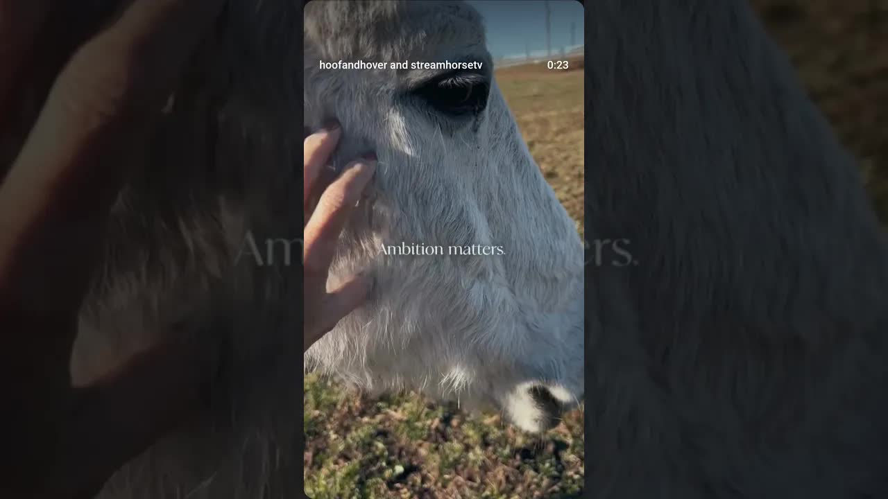 The new year always brings that push to do more, move faster, stay busy...