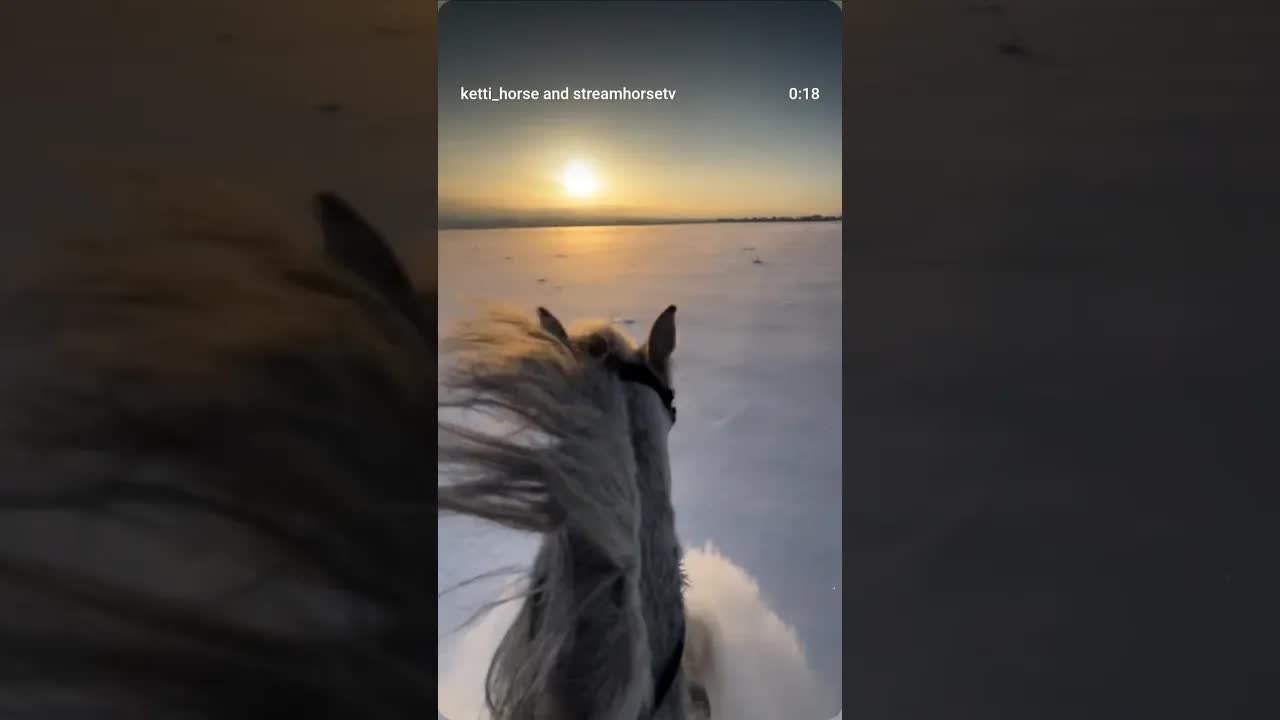 Chasing the sun 🔥❄️