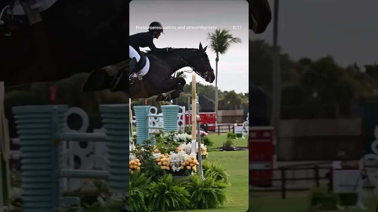 We love a spicy mare 🌶️ 🐎 Chloe Reid & Chelsea 172 in Saturday’s Southern Arches 1.50M during WEF 2!