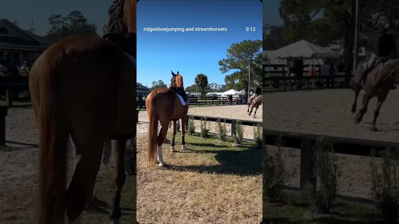 Huge thank you to Der Dau for their support of our CPS event this week! 🐎