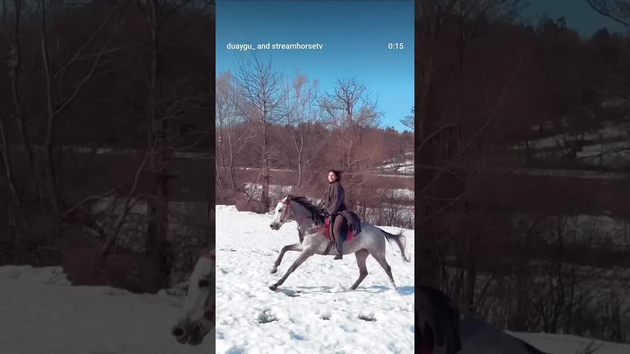 When I was little, I believed horses could fly. I don't believe it anymore. Just because I know!