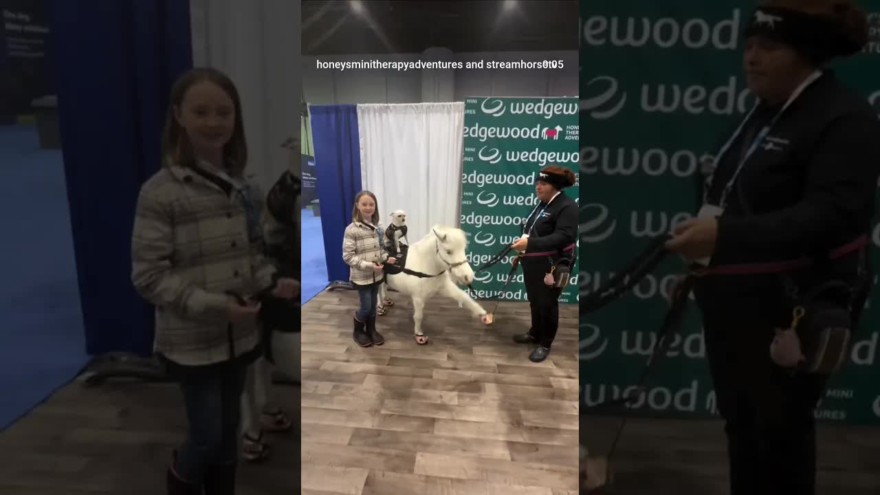 Have you seen Sugarfoot’s wave? 👋 He literally says HELLO—and somehow means it. 🐴💛