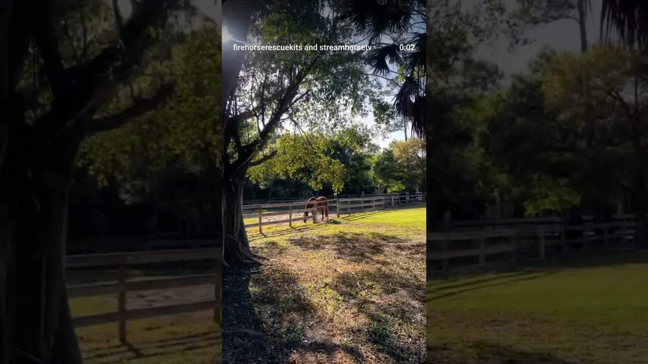 Peaceful afternoons at the barn🔥🐎🛡️ This property is protected by FireHorse!