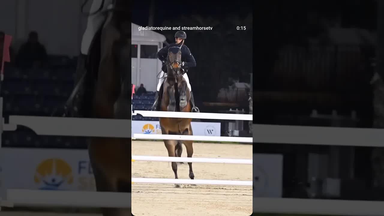 All of the excitement & competition of the 2026 Winter Equestrian Festival meets Gladiator Equine. 🧬