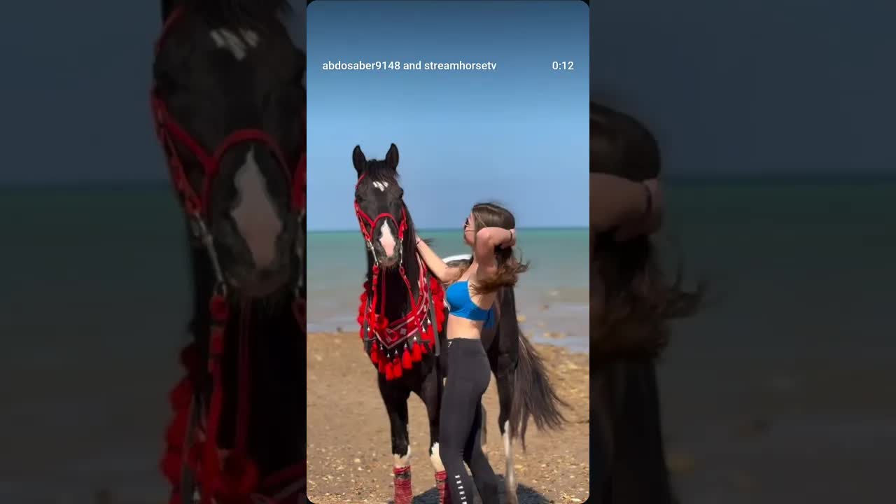 Experience a unique and wonderful feeling 🐎🌊 Horses in the water & freedom in every moment. 💙🇪🇬