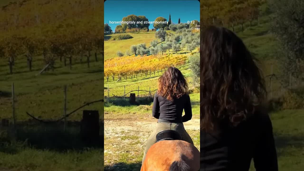Discover the beauty of #Italy from the back of a horse. 🐎❤️🤠