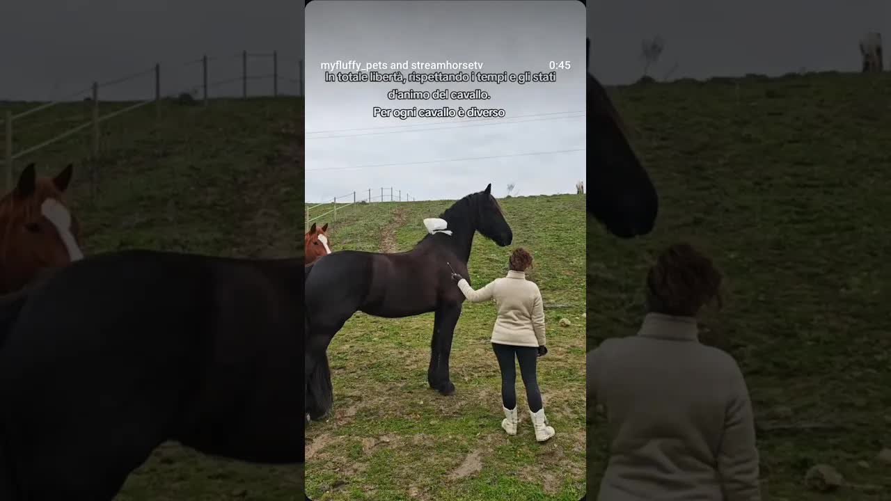 I’ve heard multiple times about people moving away from the horse riding...