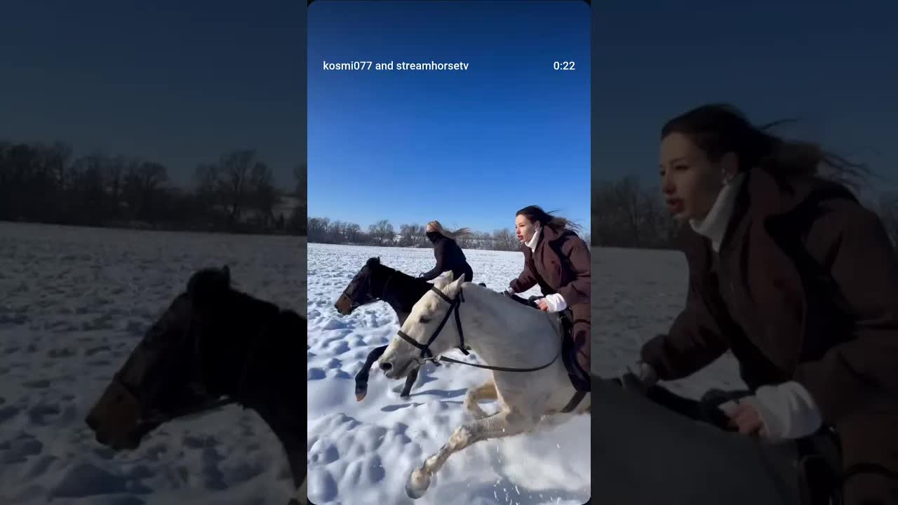 winter horse racing 🖤🤍