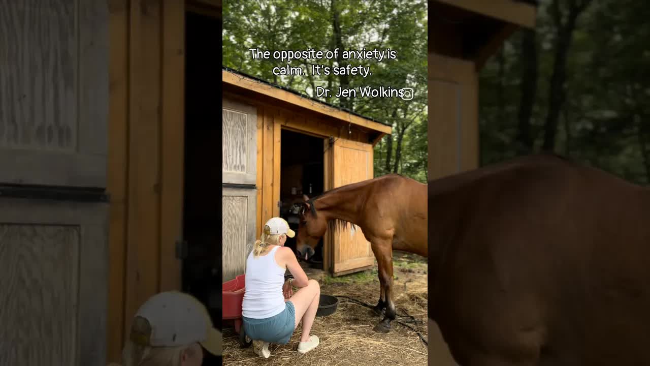The opposite of anxiety isn’t calm. It’s safety.” — Dr. Jen Wolkin