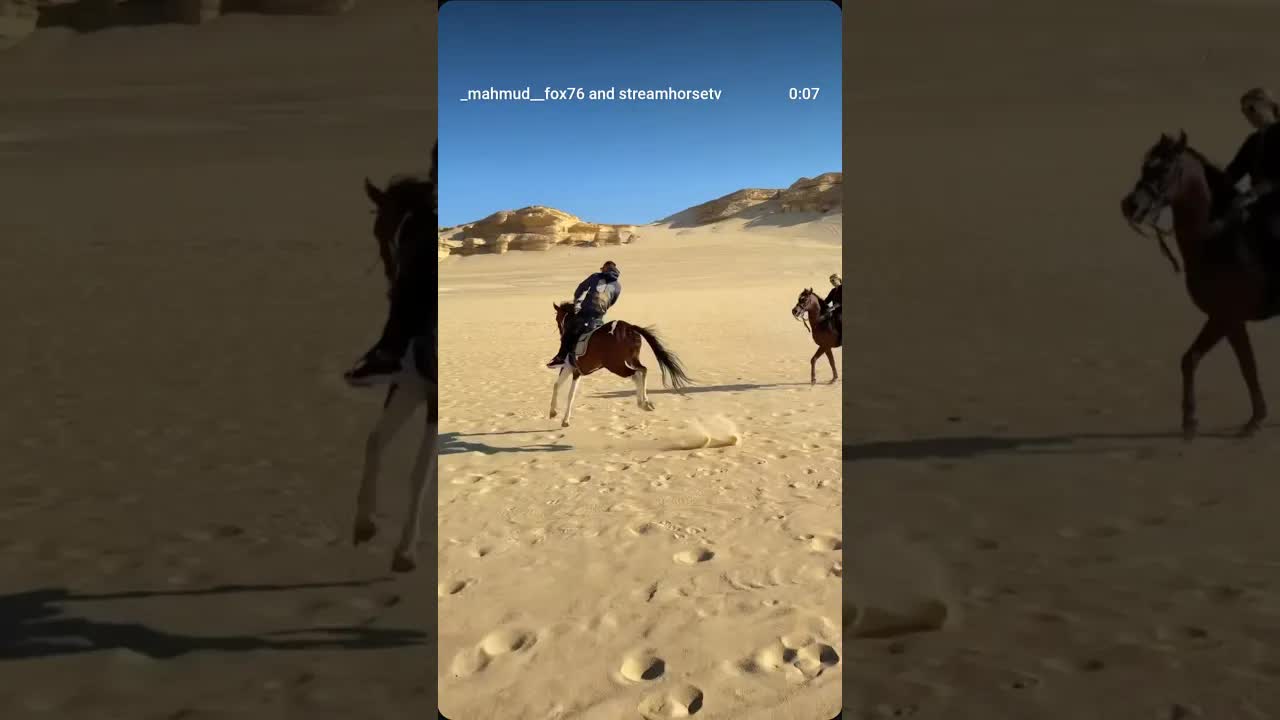 Horse riding isn't crazy… the crazy thing is living without that feeling 🐎🔥