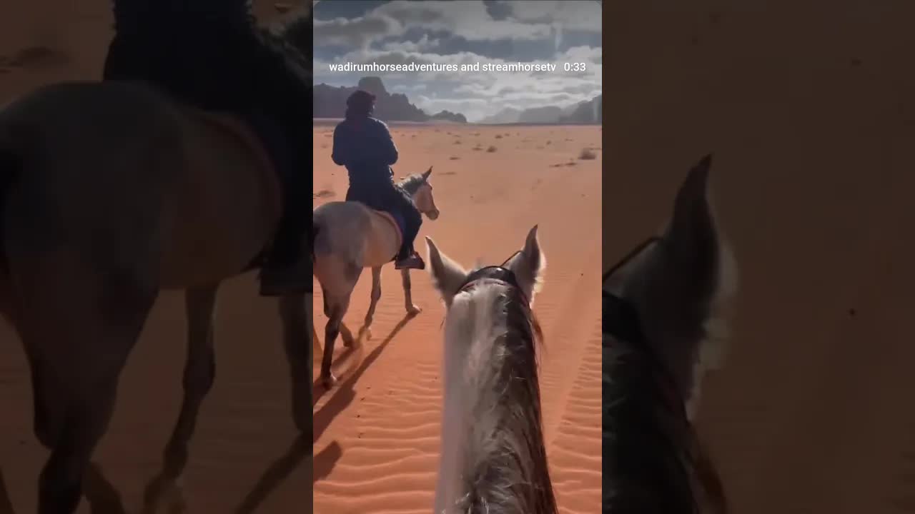 3-hour ride 🐎 Belgian rider 🇧🇪Stars of the day: Al Rahib, Knafeh & Noor 🐴 Wadi Rum is stunning!