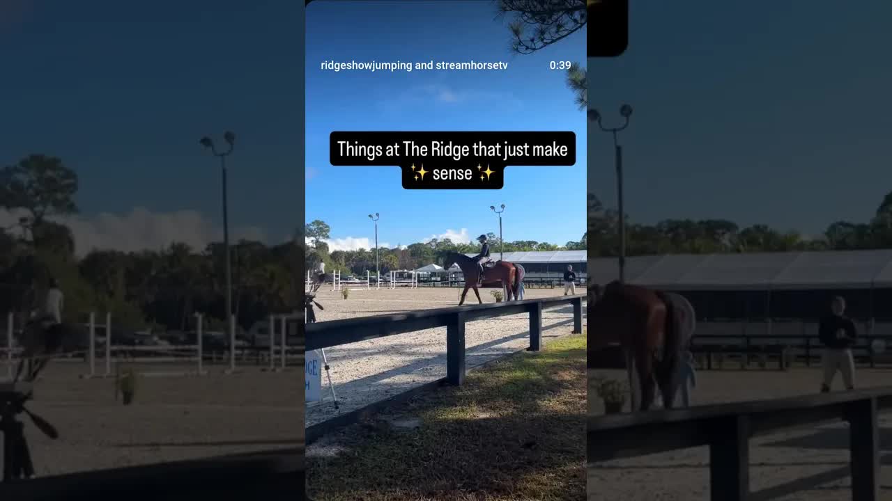 We are going to need a part 2 😂🐎🤩