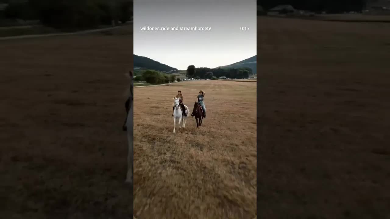 Chasing horizons and finding treasurein every stride. Living the Wild Ones Ride dream. 🌾