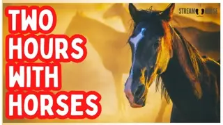 Two Hours Without the News & Politics 🐎☀️ Horses + Nature = Calm
