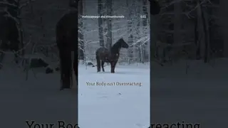 Smokey’s not frozen. He’s listening...