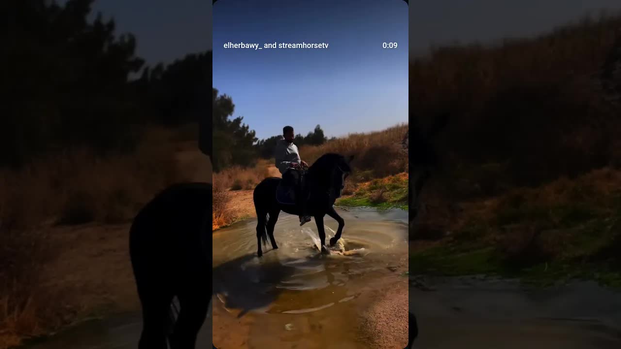 Shadow, strength born from the dark. 🖤📍Hurghada, Egypt