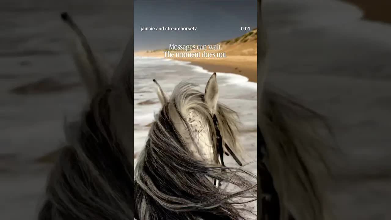 Blame it on the daily rainbow if I’m slow at texting back. 🌈