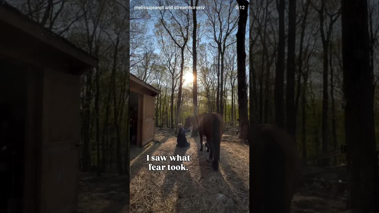 I didn’t choose gentleness because I was soft. I chose it because I understood fear intimately.