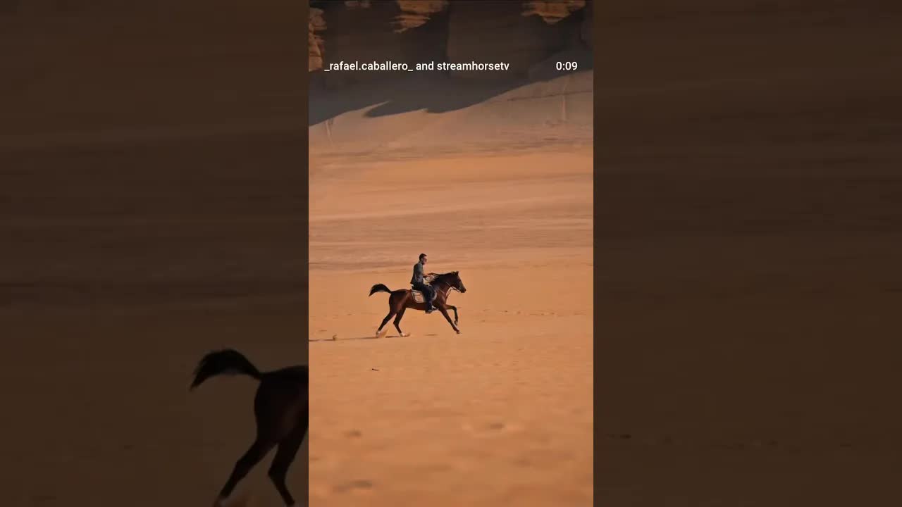 Be kind to your teammates. Even the most powerful animal will give you its best. 🐎