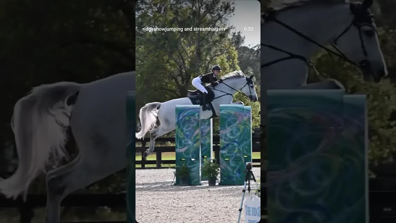 Who jumped it best: Eye Candy Oxer! 👁️ 🍬 🐎