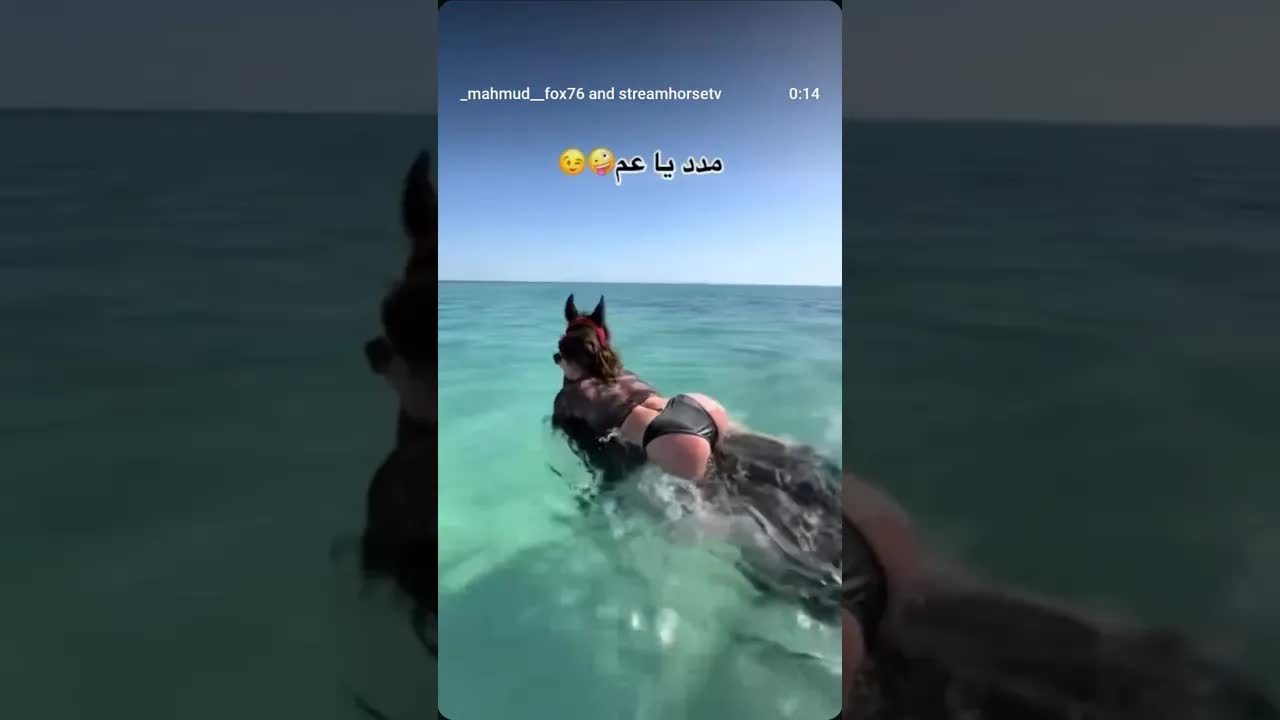 Swimming with horses is freedom, confidence and a breathtaking tranquility 💙