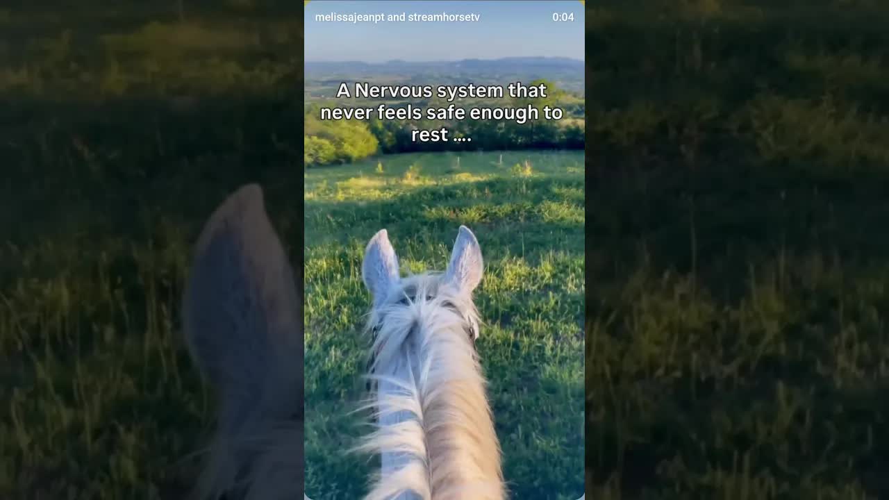 Survival doesn’t end just because the danger did...