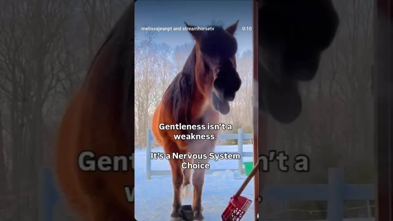 We live in a culture that rewards the easy defaults: anger, misery, and reactive force 👇