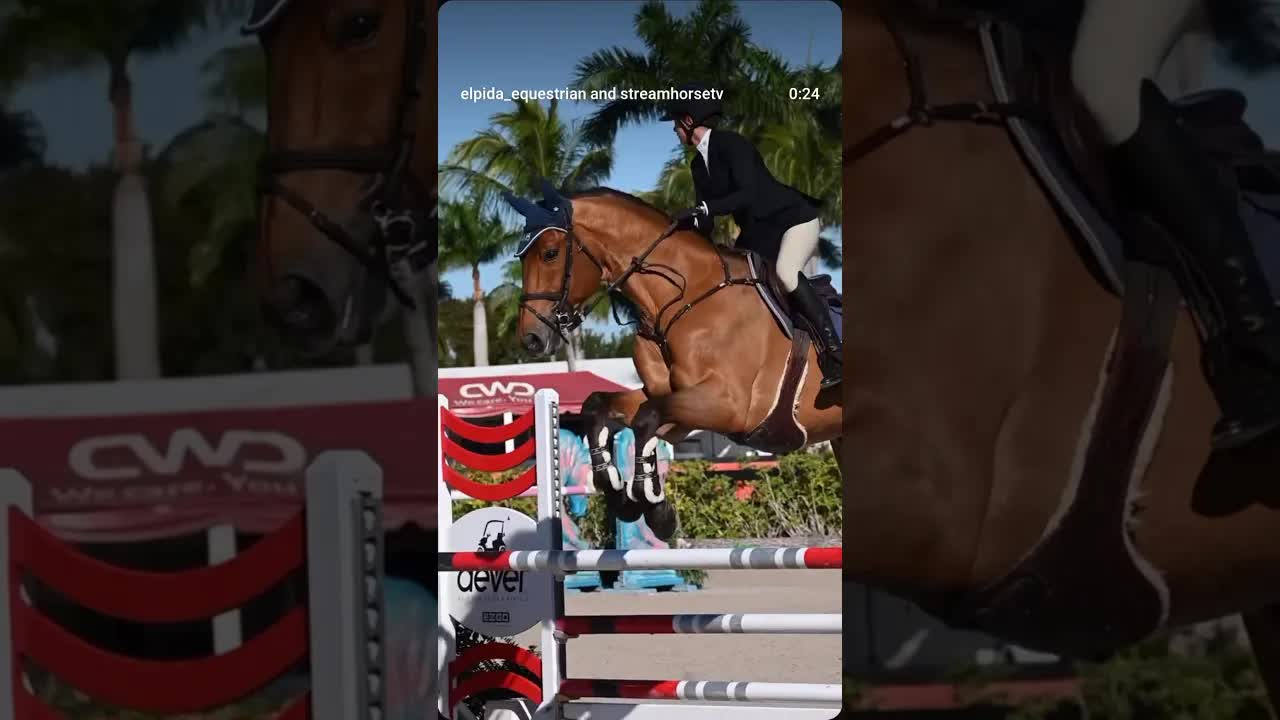 First #WEF2026 moments with Valdes 🐎🤩🐎💙