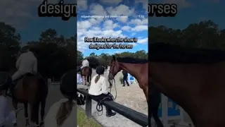 Creating a show for the horses as much as the riders makes all the difference 🐎😎🤩🔝🐎👏🏻👏🏻👏🏻