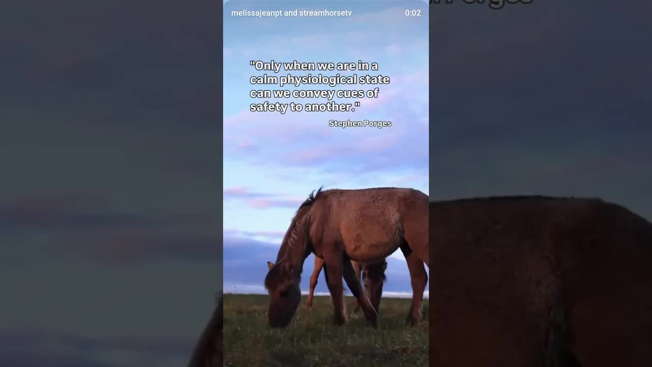 Safety is contagious. But so is urgency. What are we transmitting without realizing it?