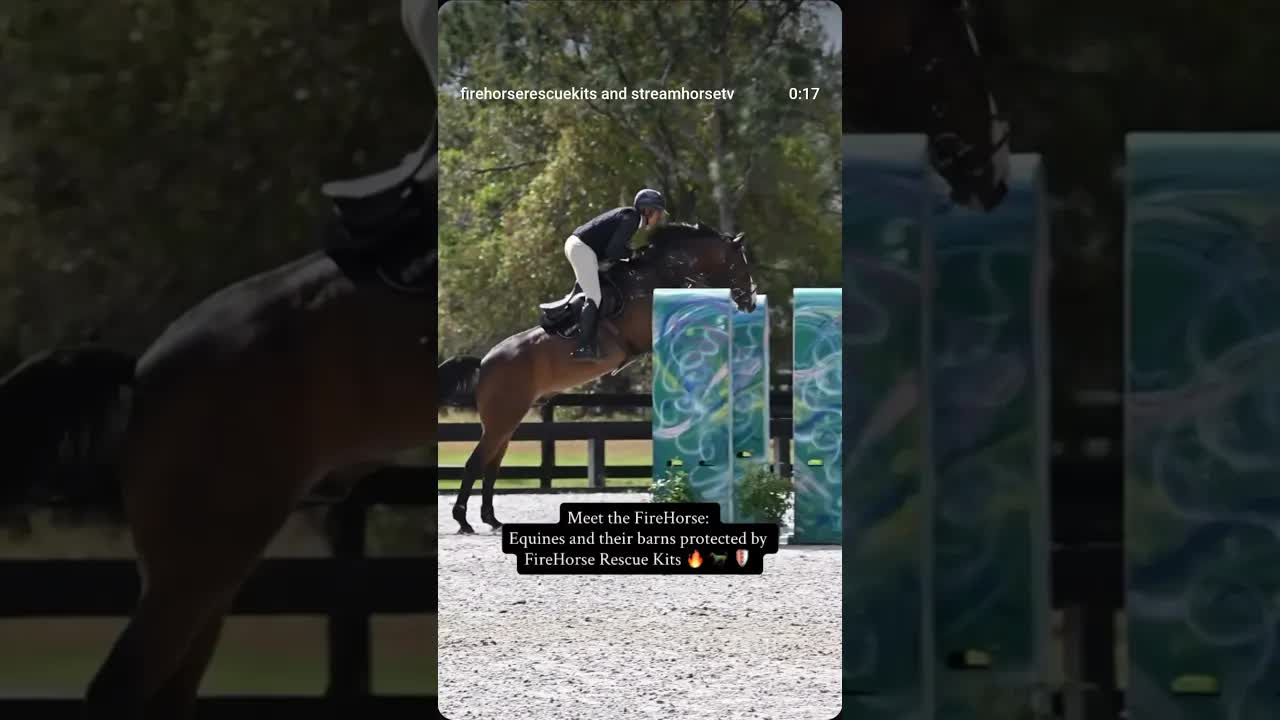 Meet the FireHorse 🔥🐎🛡️ Squirt Gun 🔫 a 2011 Oldenburg gelding with a bit of extra fire!