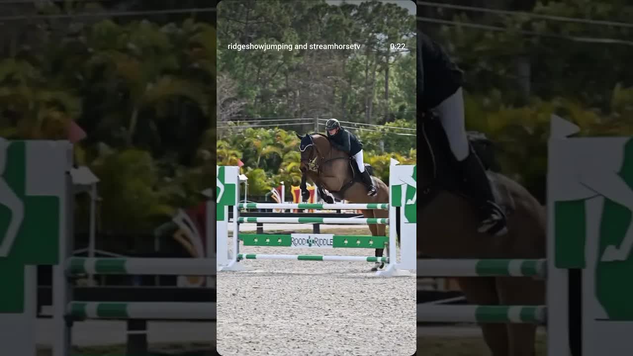 Thank you Jean for showing with us at The Ridge, where horses MATTER! 🇧🇪🐎🇺🇸