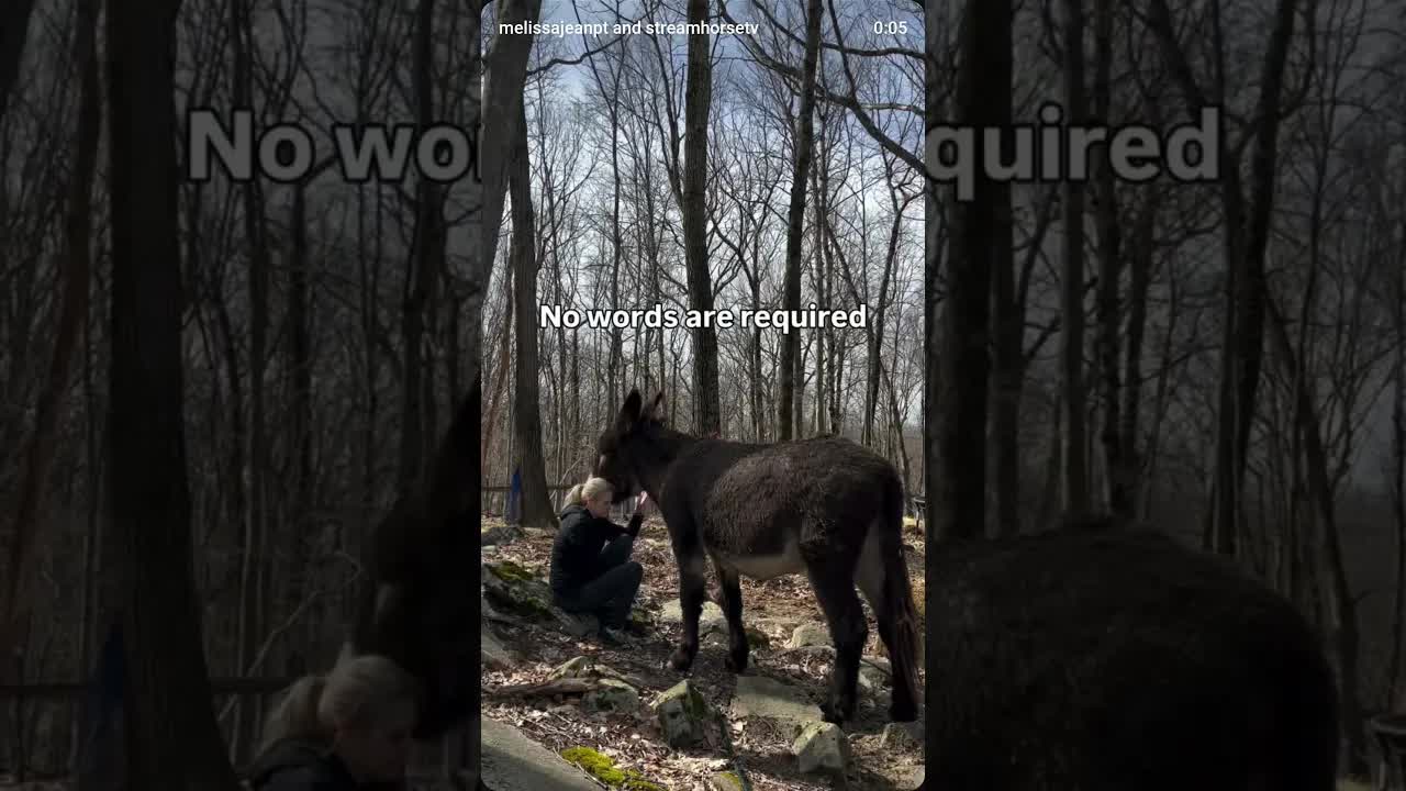 Moments like this aren’t trained. They’re allowed.