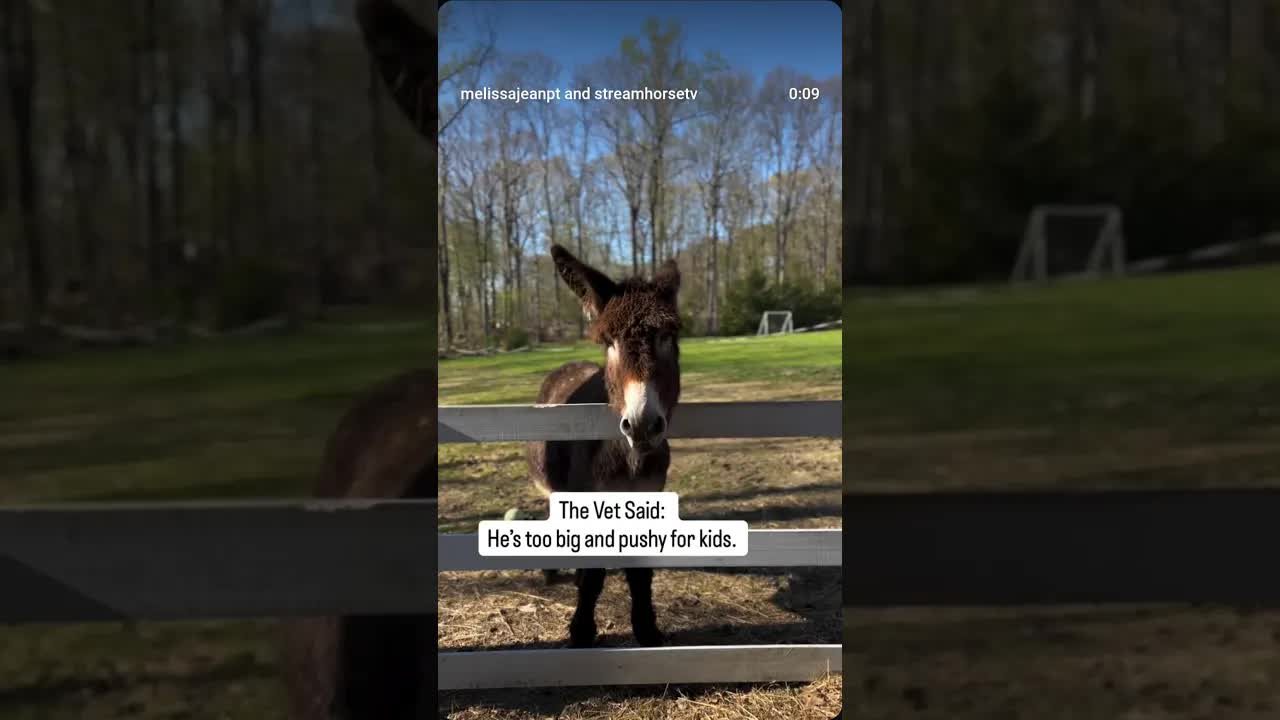 See dad - it’s a good thing I don’t listen 😂 Love our Linus ❤️