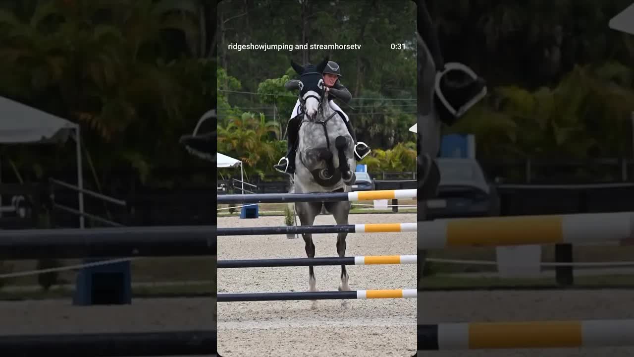 Congratulations to Mia Bagnato & Felton II on their victory in today’s 1.40M Grand Prix 🙌🏻💯