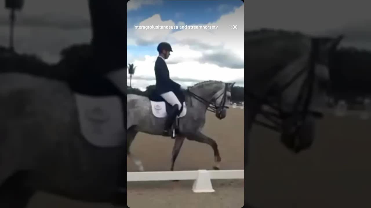 Young superstar Quercy Interagro scoring 71.486 in Third Level Test 3 during AGDF 3! 🤩