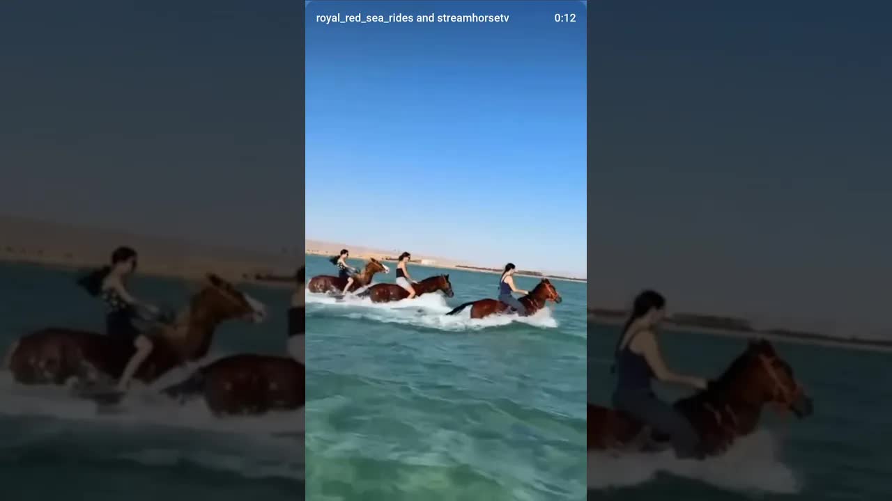 Take my mind to another place!Ride. Swim. Feel the freedom. 🐎🌊