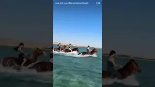 Take my mind to another place!Ride. Swim. Feel the freedom. 🐎🌊