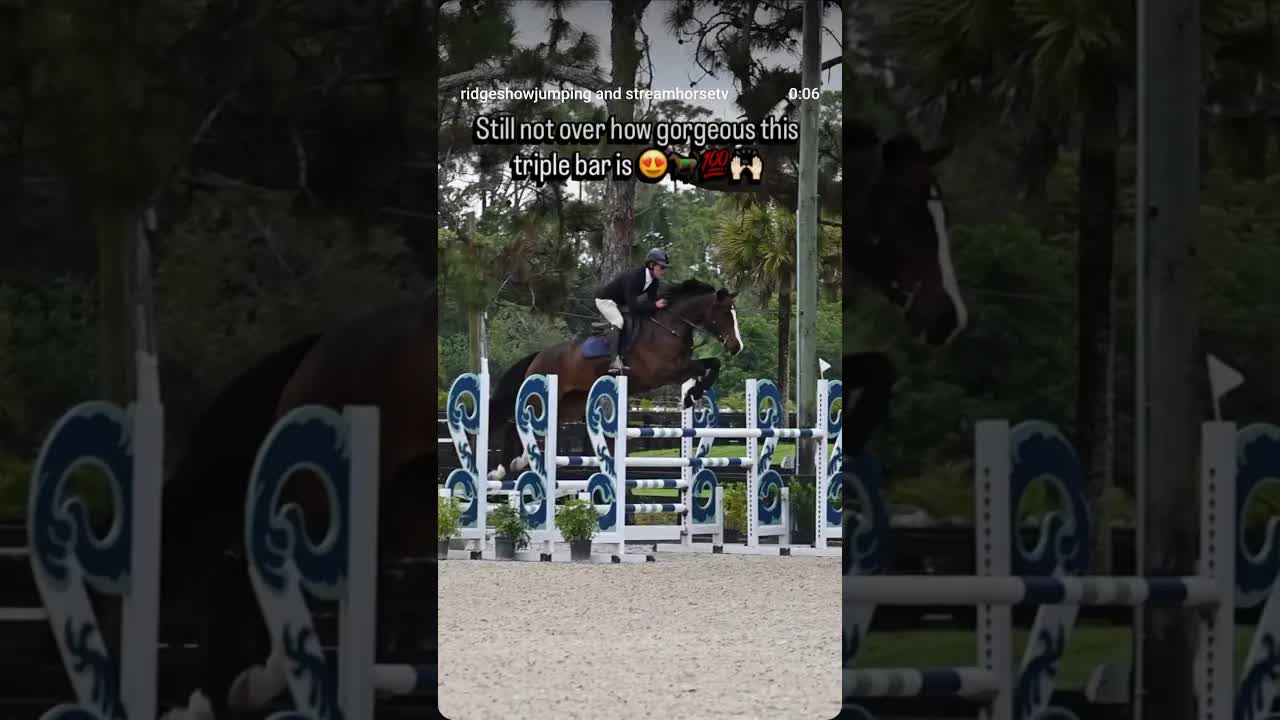 Still not over it, probably won’t ever be 💁🏼‍♀️🐎