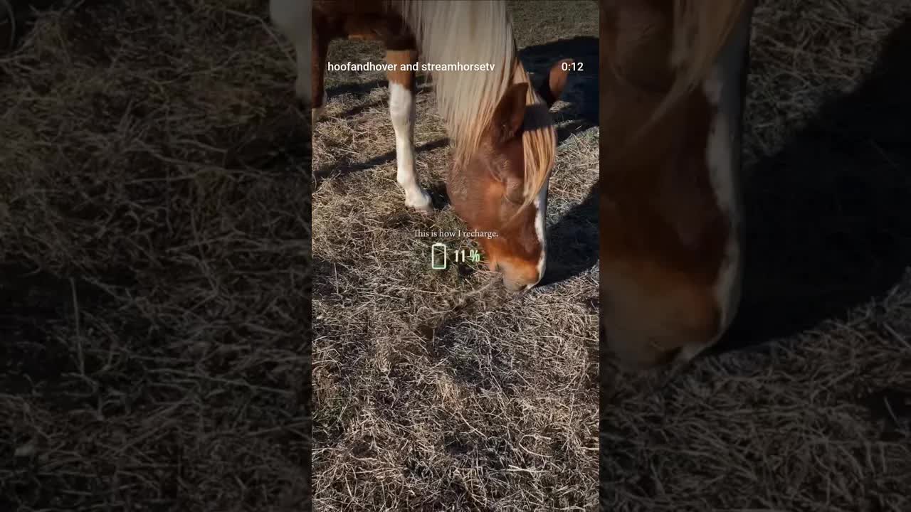 So what recharges you?