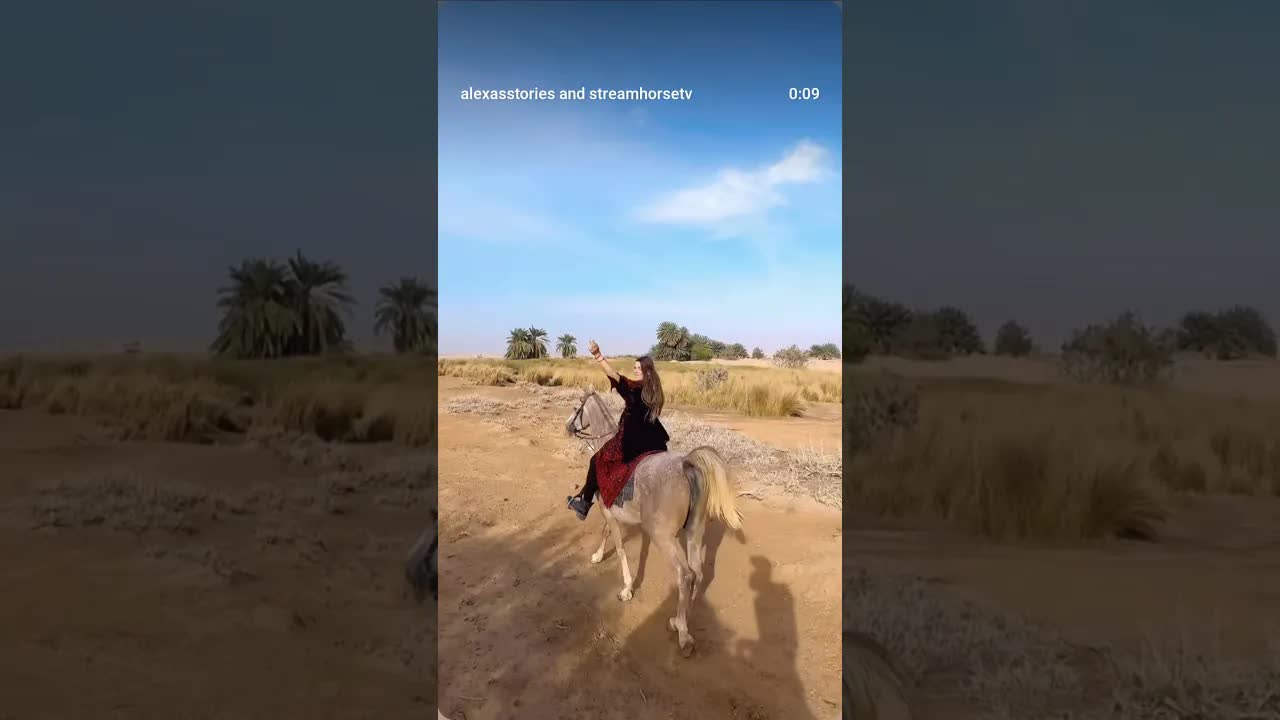 Exploring the magical desert of Jordan on beautiful Arabian horses 🐎👌🏜