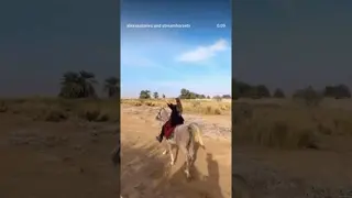 Exploring the magical desert of Jordan on beautiful Arabian horses 🐎👌🏜