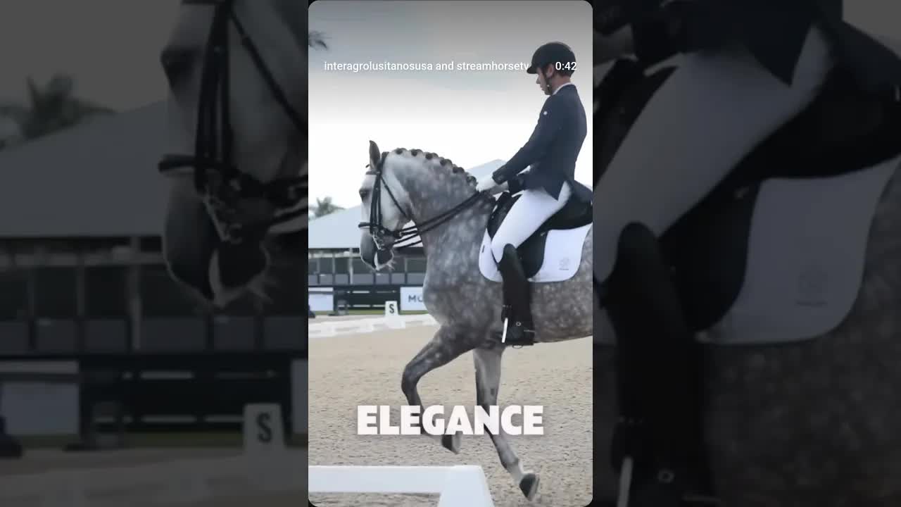 Another highlight Reel for Quercy