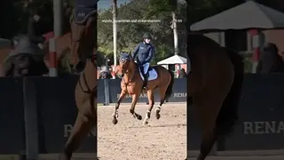 Feeling frozen 🥶 🐎 yesterday for Athena & Valdes’ debut in the 1.25M!