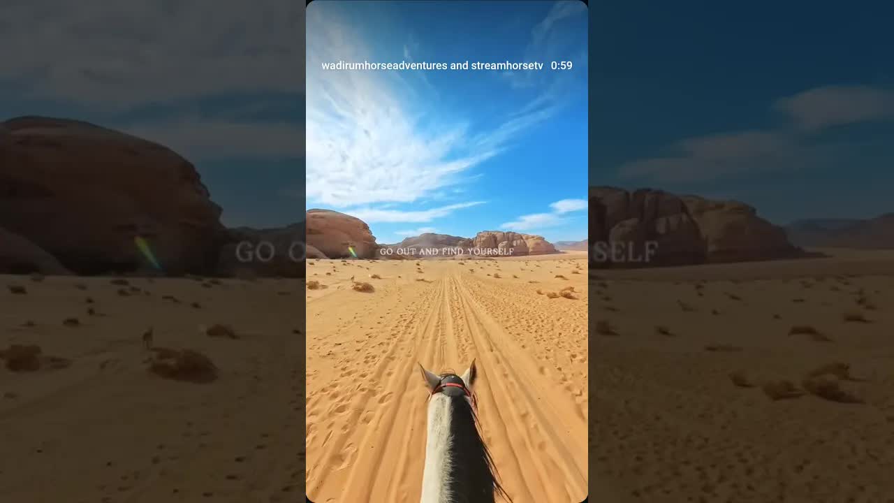 Go out and find yourself. See the world, one horse at a time.