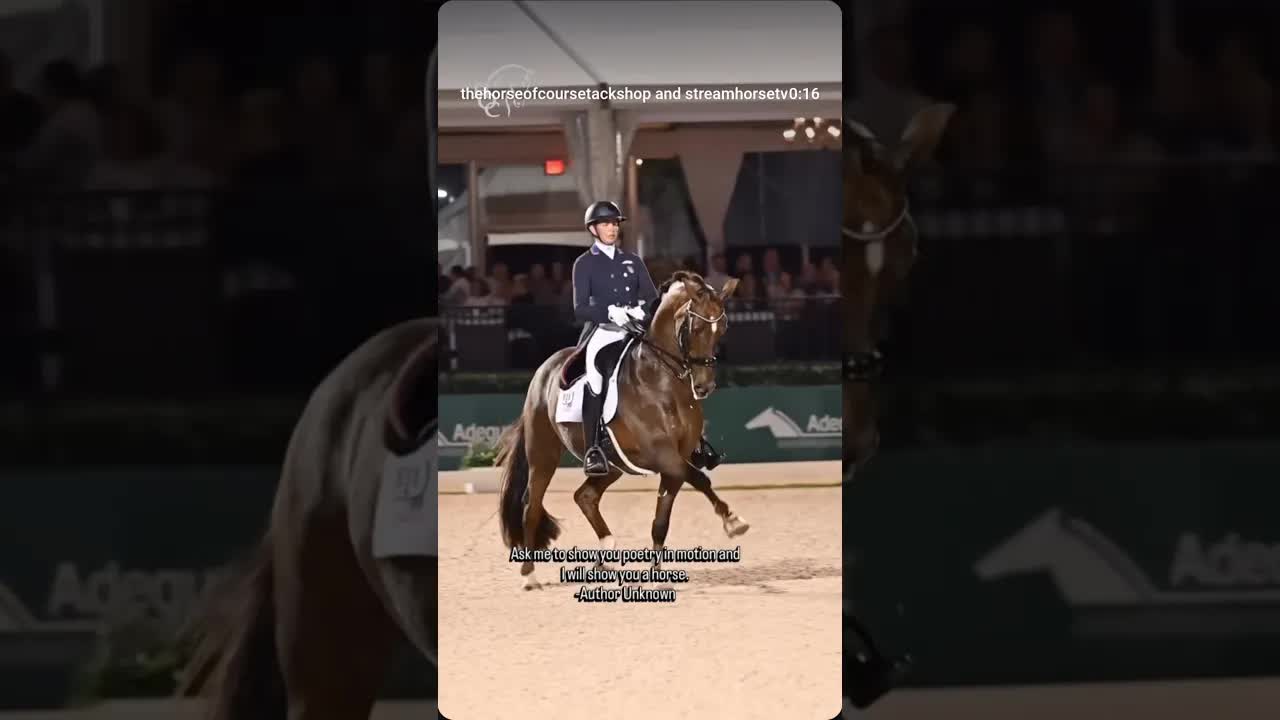 Anna Marek & Fayvel really epitomize this quote 🙌🏻😍🐎💓