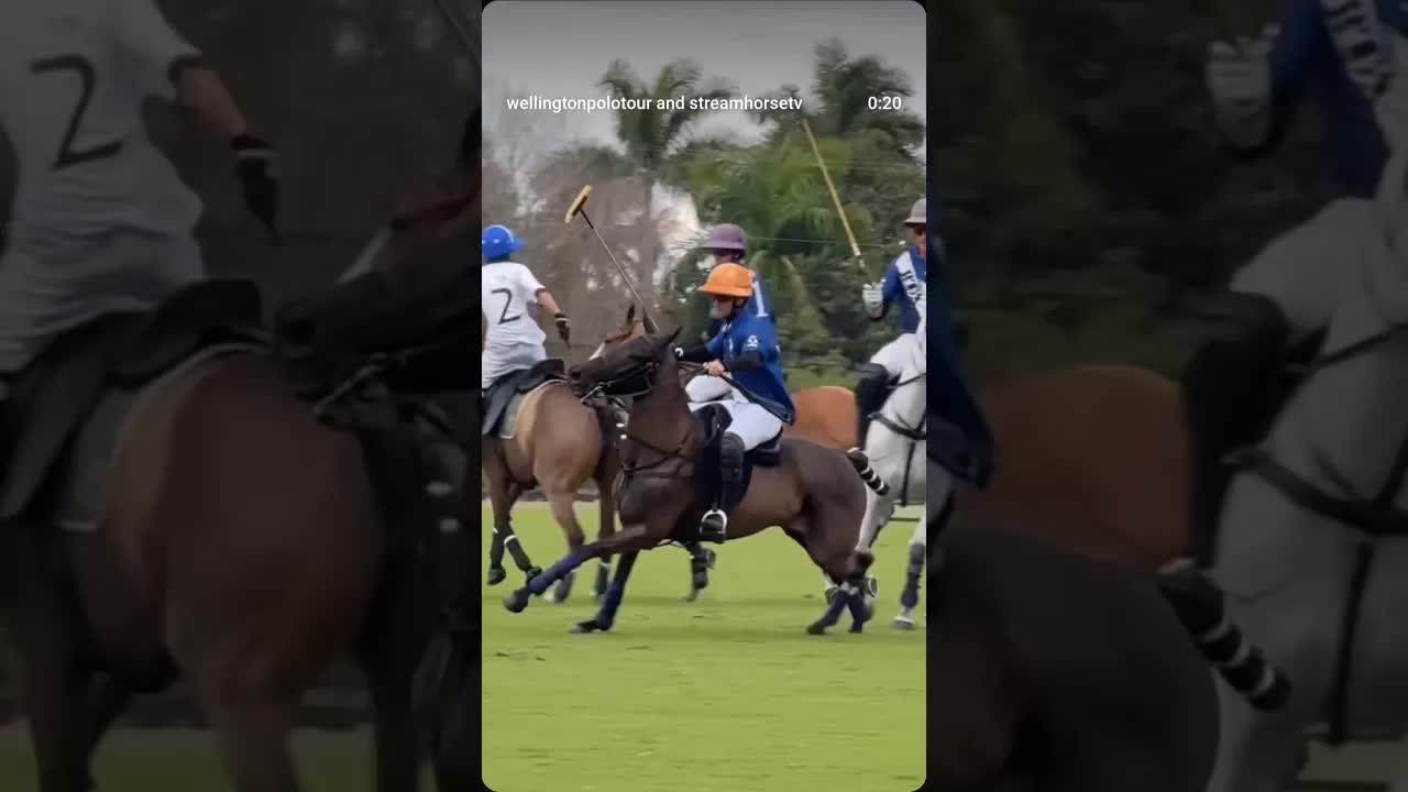 #theprofessor strikes again… 💥@gringocolombresok @clearwater_polo